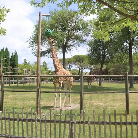 America Apartamento Lignano Sabbiadoro